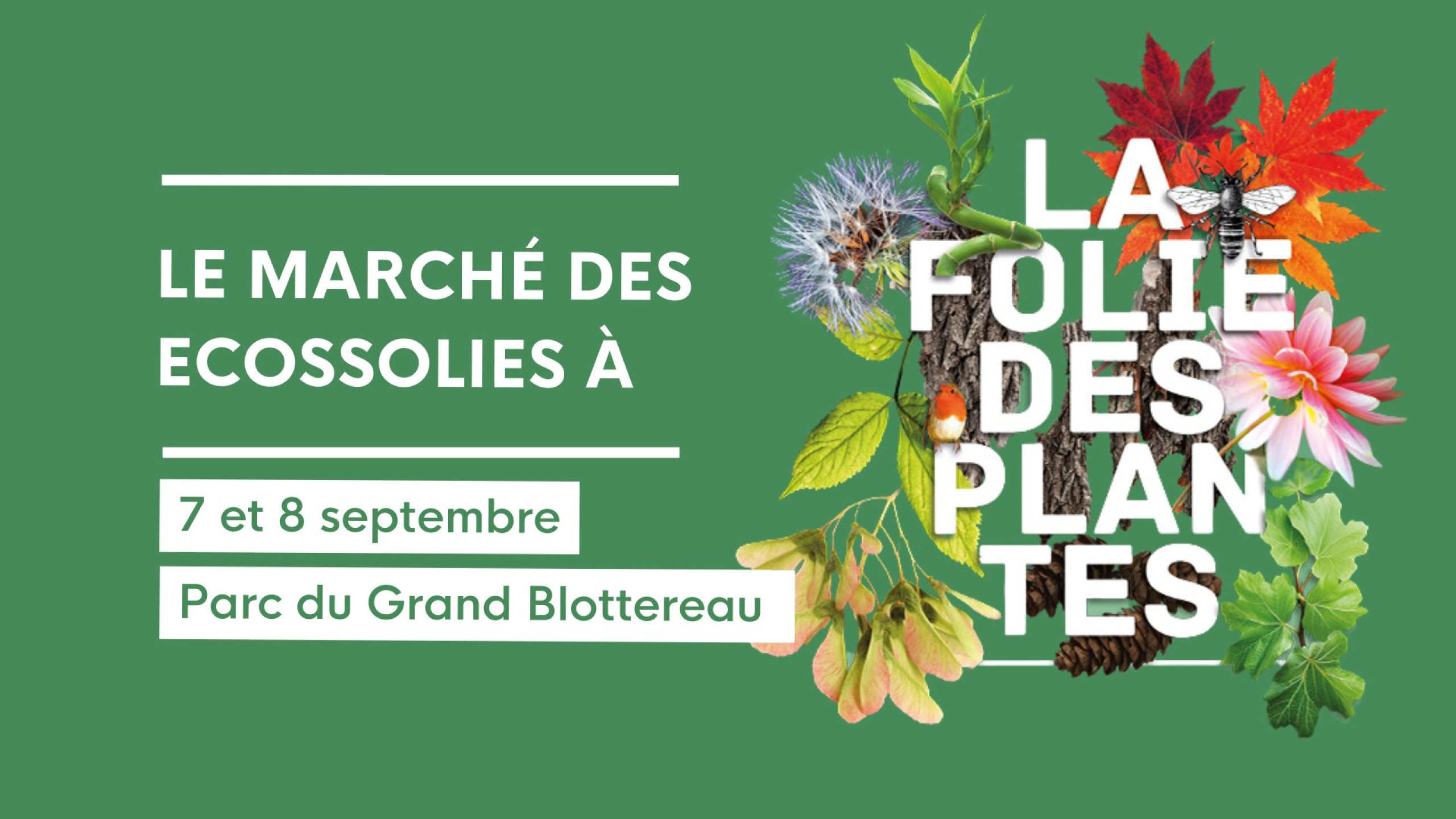 Folie des plantes